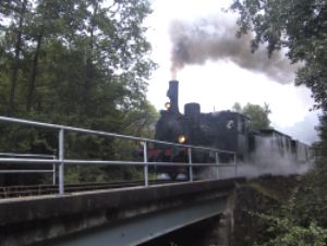 Die Kuckucksbahn fï¿½hrt von Neustadt/W nach Elmstein